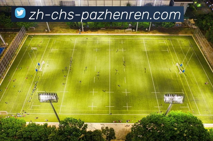 pa真人APP 封面图